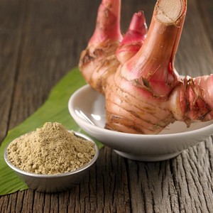 Racines d'alpinia galanga de gingembre thaï frais de meilleure qualité au prix le moins cher racine de galanga du Vietnam - Product Image 5