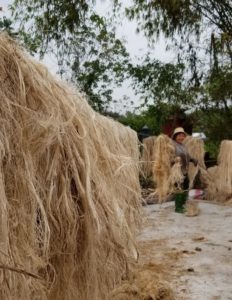 Productos de fibra de plátano sostenibles de primera calidad para una vida ecológica - Product Image 5