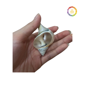 Anillos de Servilleta Hechos a Mano con Conchas Marinas Naturales, Decoración de Mesa Costera para Bodas en la Playa, Suministros al por Mayor - Product Image 6