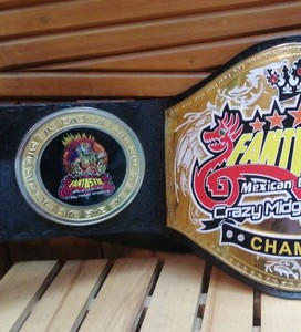 Ceintures de championnat personnalisées ! Ceinture de lutte miniature fantastique et folle 2025 - Product Image 2