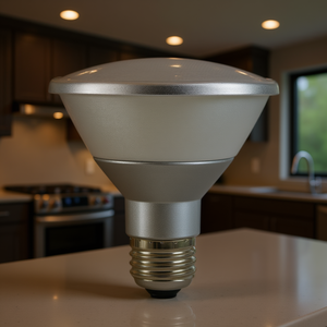 13W Par 30 LED <b>Bulb</b> Energy Efficient Lighting Product - Product Image 3