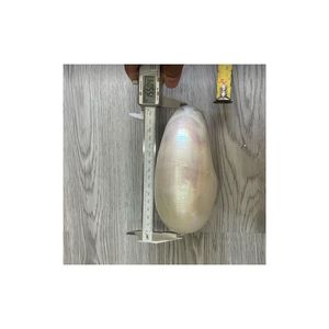 เปลือกหอยหอยโข่งขัดตกแต่งอย่างหรูหราราคาดีมีสีเทาสดใสผลิตในเวียดนาม - Product Image 4