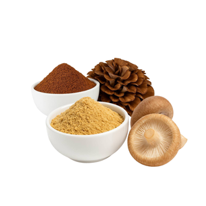 Capsule d'extrait de champignon sauvage avec vitamine, polysaccharide, peptide, qualité japonaise, complément alimentaire de la marque PSP - Product Image 1