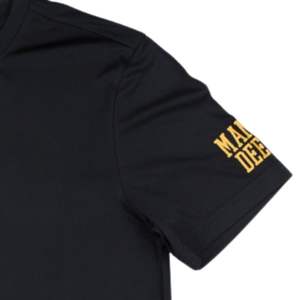 T-shirt APA Alpha Dry Fit noir 100% polyester évacuation de l'humidité t-shirt grec vie fraternité vêtements avec logo imprimé - Product Image 5