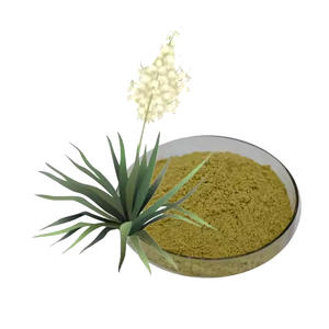 ผงสกัดจากสมุนไพร Yucca Schidigera บริสุทธิ์100% ปลูกมันสำปะหลังซาโปนินสารสกัดจากสมุนไพรเกรดอาหารในขวดบรรจุและถังสูญญากาศ - Product Image 1