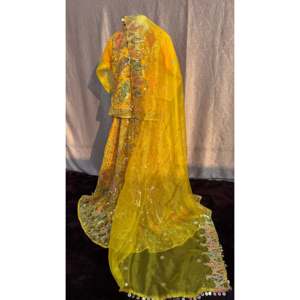 Robes Mehandi élégantes et festives, sari en soie georgette brodé, robe pakistanaise, salwar kameez, Banarasi, achat en ligne - Product Image 3