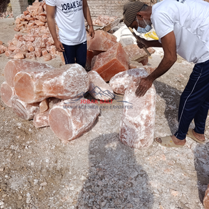 Elegante lámpara de sal del Himalaya hecha a mano y alta, purificador de aire de calidad superior, certificado ISO, estilo Feng Shui, artesanías naturales - Product Image 5