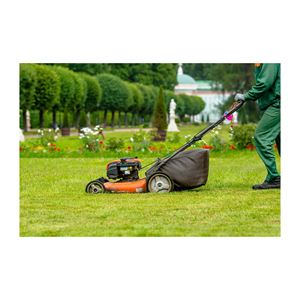 เครื่องตัดหญ้าเครื่องยนต์ฮอนด้า190cc ออกแบบมาสำหรับงานหนักตัดหญ้าและจัดสวน - Product Image 2