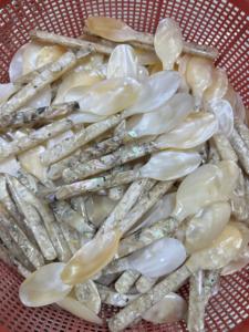 Cuchara de nácar blanca de lujo Mix Mica Caviar Spoon-El diseño único brinda una nueva experiencia al disfrutar del caviar Tamaño 12cm - Product Image 2