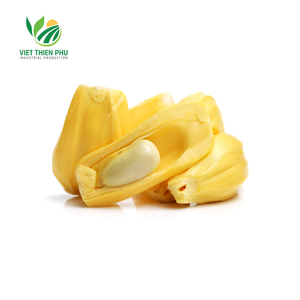 ขนุนอินทรีย์แช่แข็งแบบพิเศษไอคิวฟรุ๊ตเกรดพรีเมี่ยมรสชาติหวานหวานหั่นบางๆเก็บน้ำได้ - Product Image 4