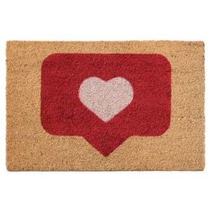 Felpudo Coco Blanco Like 40x60cm (Dintex 50511) - Product Image 1