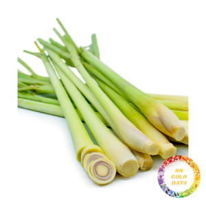 Citronnelle fraîche congelée avec arôme naturel et saveur forte | Origine Vietnam | Prix de gros - Product Image 5