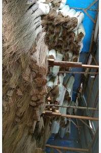 Escobas y Recogedores al por Mayor, Material de Palo de Escoba de Coco Limpiado para Hacer Escobas de Jardín - Product Image 4