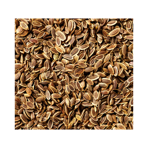 Dried <b>Dill</b> <b>Seeds</b> With 99% Clean Quality Offered In Bulk Packaging <b>Dill</b> <b>Seeds</b> Directly From Harvested Crop - Product Image 1