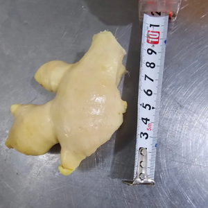 Gingembre jaune congelé de meilleure qualité gingembre congelé peler gingembre lavé emballage sous vide entier Origine Vietnam - Product Image 1