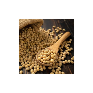 Frijoles de soja Venta al por mayor Verde congelado Estilo dulce Marcas Color soja no GMO amarillo soja semilla de soja - Product Image 2