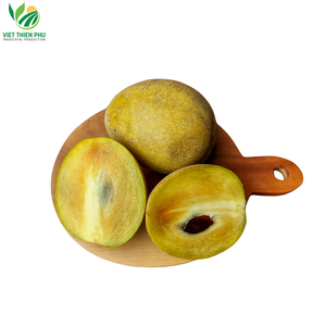 MEJOR VENDEDOR IQF SAPODILLA CONGELADA/FRUTA ESTÁNDAR DE GRADO SUPERIOR DE VIETNAM - Product Image 5