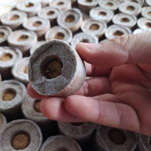 Coco peat-Tapón de disco de coco, pastillas de musgo, sistema hidropónico vertical para agricultura - Product Image 3