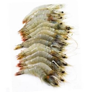 กุ้งกุลาดำแช่แข็งคุณภาพดีที่สุด - Product Image 1