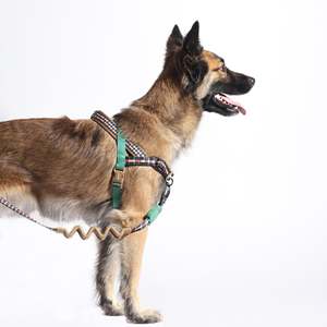 Harnais pour chien Norwegian Luxury Softer-Walk en polyester à motifs écossais et unis pour chiens de petite, moyenne et grande taille, pour la promenade. - Product Image 3