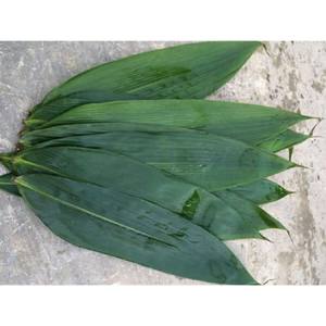 Feuille De Bambou Frais Vert Pas Cher Emballé Sous Vide-Feuille De BAMBOU du Vietnam - Product Image 3