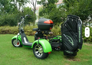 Tricycle motorisé à corps ouvert à la mode chaude pour l'utilisation de passager et de cargaison - Product Image 2