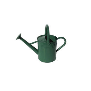 Arrosoir en fer et verre en acier fait à la main nouveau design pour jardinières prix de gros - Product Image 5