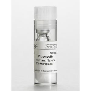 Vitronectine humaine 0,25 mg flacon - Product Image 1