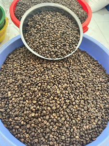 กาแฟโรบัสต้าเวียดนาม - เมล็ดดิบจากฟาร์มโดยตรง - กรดคลอโรจีนิกสูงเพื่อพลังงานจากธรรมชาติ - ไม่ผ่านการคั่ว - Product Image 4