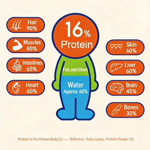 ผงโปรตีนสูงสำหรับผู้ใหญ่ ได้รับการรับรองจาก CNAS ผลิตแบบ OEM ODM ขนาด 86.1 กรัม/100 กรัม 500 มล. |   ได้มาตรฐาน CGMP ปราศจากเชื้อโรคเพื่อเพิ่มกล้ามเนื้อ - Product Image 6