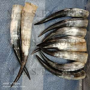 Cuernos de buey de alta calidad Cuernos de bebida vikingos Color crema seguro para alimentos para beber Uso a bajo precio por la empresa de fabricación india - Product Image 2