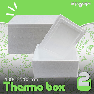 Caja Térmica Ecológica EPS de 2L, Contenedor de Transporte Reciclable para Alimentos Fríos y Calientes, Medicamentos y Productos Sensibles a la Temperatura - Product Image 2