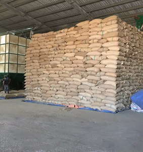 เมล็ดกาแฟอาราบิก้าและโรบัสต้าสีเขียวสุดๆ - Product Image 6