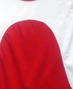 Dernier modèle d'uniformes de compétition d'entraînement de kickboxing, grandes tailles, gilet de boxe extensible léger à coupe réglable avec ensemble court - Product Image 4