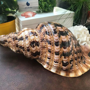 Vietnam Copper Alloy Trumpet Musical Instrument for Band Performance Orchestra Practice and Stage Use - Product Image 1