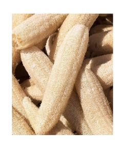 Material de lufa entera seca/almohadilla de lufa/esponja exfoliante de lufa de 99 Gold Data en Vietnam Esponja de lufa grande seca al sol - Product Image 1