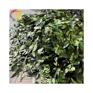 ทุเรียนเทศอบแห้งจากดวงอาทิตย์ใบกริโอลาใบชาใบ annona muricata สำหรับโอกาสขายส่งและฉลากส่วนตัว - Product Image 3