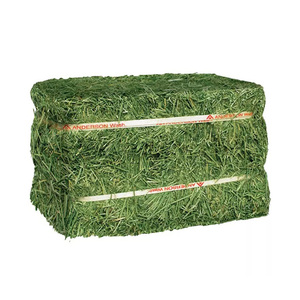 El mejor alimento de heno de alfalfa para caballos, ganado, cerdo, calidad premium a la venta - Product Image 1