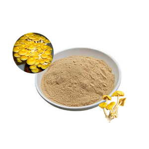 สารสกัดเห็ดหูหนูทองคุณภาพสูง แอล-เออร์โกไธโอนีน 1% ผงเห็ดหูหนูทองแห้งธรรมชาติ - Product Image 1