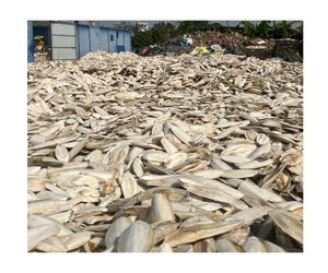 Os de seiche Offre Spéciale séché pour la nourriture des oiseaux avec la meilleure qualité et le bon prix, 100% os de seiche séchés d'origine au Vietnam - Product Image 1