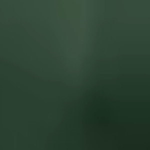 Top Qualité MMA Rash Guard En Nouveau Stock MMA Rash Guard Meilleure Arrivée MMA Rash Guard Fabriqué Au Pakistan - Product Image 6