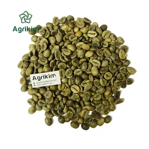 Granos de café verde del fabricante Agrikim, muestra de calidad de grado superior de buen gusto, precio al por mayor disponible para el mercado global