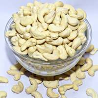Vietnamesische Rohe Getrocknete Cashewnüsse - Klasse 1 Bio W240/W320/W180 für Import & Export