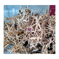 Aquarium Fish Tank Aménagement Paysager Coral Driftwood Rhododendron Root Twisted Vine à bas prix