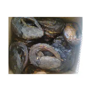 High Manufacturer Cheap Price Catfish Big Size Exporters Whole Round Frozen Catfish For Buyers Frozen Catfish Low Market Prices