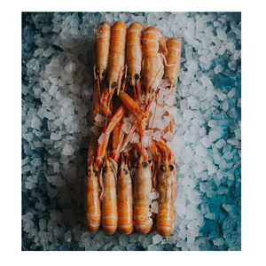 Langoustines surgelées de qualité supérieure - Fournisseur en gros de langoustines - Product Image 4