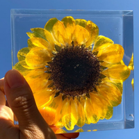 Lámpara Decorativa Nocturna de Resina Epoxi con Modelo de Girasol 3D