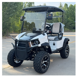 Carrito de golf económico con construcción duradera y calidad de larga duración - Product Image 1