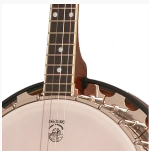 Banjo Tenor Acústico de 19 Trastes 4895C022 - Product Image 1