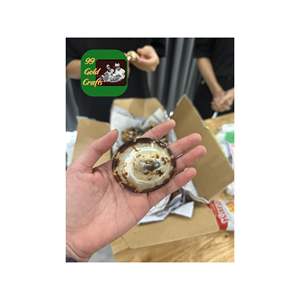 COQUILLES DE LIMPET POLI DU VIETNAM COQUILLES DE MER OVALES NATURELS POUR LA DÉCORATION ET LA VENTE EN GROS DE BIJOUX D'ART EN RÉSINE - Product Image 4